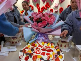 开云世界杯-集团有限公司
举办三八妇女节活动